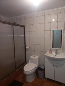 een badkamer met een toilet, een douche en een wastafel bij Casa Cely in Iquique