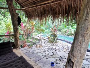 Zahrada ubytování Les Garden villa
