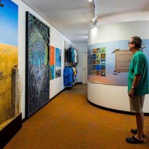 a man standing in front of a museum exhibit at Broome Bird Observatory in Broome