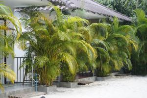 a group of palm trees in front of a building at WHITE SAND ARK RESORT in Koh Rong Island