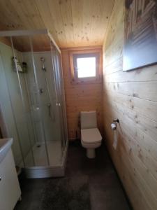 uma pequena casa de banho com WC e chuveiro em Domek nad stawem em Golczewo