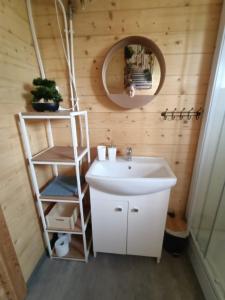 een badkamer met een wastafel, een plank en een spiegel bij Domek nad stawem in Golczewo