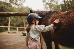 Altri animali domestici presso il resort o nei dintorni