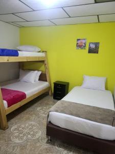 - 2 lits superposés dans un dortoir aux murs jaunes dans l'établissement Vivienda Turistica Cattleya, à Filandia