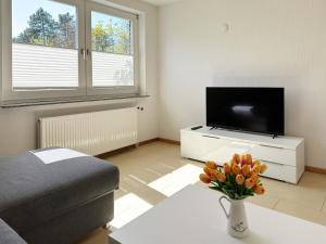 TV a/nebo společenská místnost v ubytování Haus *Üüs Aran* Wohnung Nr. 4