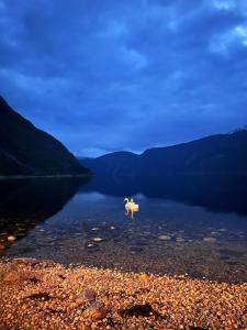 Fotografie z fotogalerie ubytování Cozy house in Eidfjord v destinaci Eidfjord