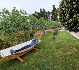 a hammock sitting on the grass next to some trees at Meraviglia d'Otranto in Otranto