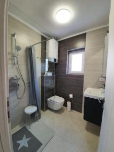 een badkamer met een douche, een toilet en een wastafel bij Vila Beleca Krk - Apartments Rest & Sea in Krk