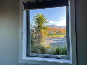 ein Fenster mit Blick auf eine Palme in der Unterkunft Pudding Hill Lodge & Chalets in Mount Hutt