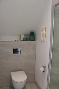 a bathroom with a white toilet and a shower at Henley-on-Thames in Henley on Thames