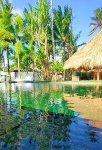 a resort with a swimming pool with palm trees at Tiki Boutique Hotel Lombok in Selong Belanak