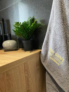 a wooden counter with a potted plant on it at TRZY SOSNY LOFT APARTMENTS in Ściegny +56 photos