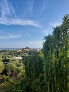 a view of a forest with trees and a blue sky at Panorama house leika kalamatas in Kalamata