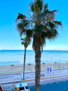 two palm trees in front of a beach at Las pirañas in Melilla