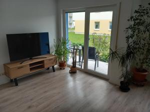 a living room with a flat screen tv and potted plants at casa del sol in Leipzig