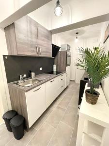 a kitchen with white cabinets and a sink and a potted plant at Ein Traum im Leechwald nähe LKH in Graz