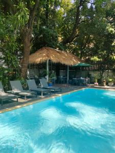 Piscina di Jungle Addition o nelle vicinanze