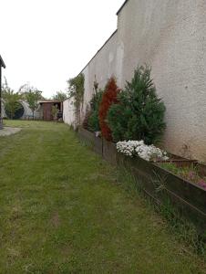 a yard with flowers and plants next to a building at Sit And Dream Home with Terrace and Yard in Hărman