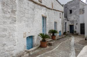 un vicolo con piante in vaso e una porta blu di Casa dei 5 Camini with terrace a Ortelle