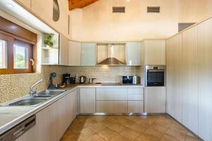 Kuchyň nebo kuchyňský kout v ubytování Entheon Olive Villas - Poolside Retreats