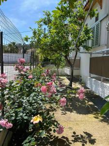 Zahrada ubytování Villa Froso