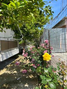 Zahrada ubytování Villa Froso