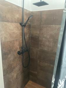 a shower with a shower head in a bathroom at 2 bedroom apartment near the sea in Tisvildeleje