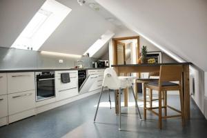 Kuchyň nebo kuchyňský kout v ubytování Apartmán Lednice