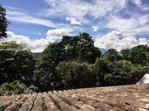 a roof of a house with trees in the background at Apartamentos Sacor #1 Studio in Curridabat