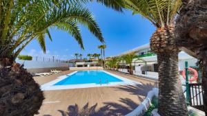a swimming pool with a palm tree next to a building at Sweet Flat with private patio Dunasol in Corralejo