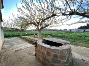 un gran barril de piedra con un árbol en un campo en Country-side residence, en Repanídhion