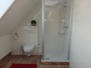 a bathroom with a shower and a toilet at " Zum alten Schlawiner " in Orsingen-Nenzingen