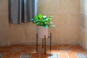 Gambar di galeri bagi Laremi Gozo B&B di Nadur