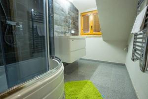 Kúpeľňa v ubytovaní Privat Kamzik + 37 fotografií