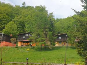 a house in the middle of a green field at Penzion Tereza in Telnice