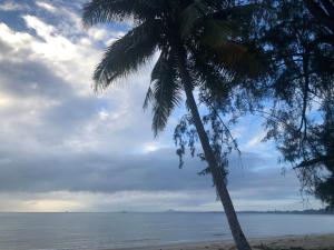 a palm tree sitting on a beach next to the ocean at Ruma in Cherating