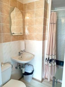 a bathroom with a sink and a toilet and a shower at Penzion Tereza in Telnice