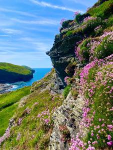 a hillside covered in flowers and the ocean at Polrunny Farm Blackberry Cottage - Cornwall bliss in sight of the sea in Boscastle