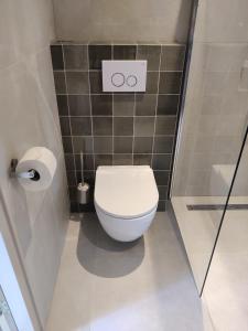 a small bathroom with a toilet and a shower at Zilt aan Zee in Egmond aan Zee