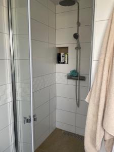 een badkamer met een douche met een glazen deur bij La Casa del Lago in Siófok +24 foto's