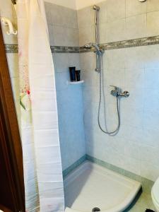 ein Badezimmer mit Dusche, Toilette und Waschbecken in der Unterkunft Alex Chalet in Cavia + 50 Fotos