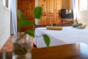 Televisyen dan/atau pusat hiburan di Laremi Gozo B&B