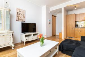 a living room with a couch and a tv at Luxury Suites - Noblessner with Sauna in Tallinn