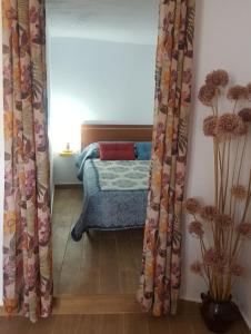 1 dormitorio con 1 cama y cortinas en una habitación en Juncalillo Garden en Las Palmas de Gran Canaria