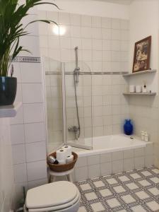 a bathroom with a shower and a toilet and a tub at Cairoli20 in Vicenza