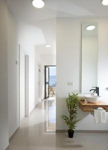 a bathroom with white walls and a sink and a plant at מצפה כנרת טבריה in Tiberias