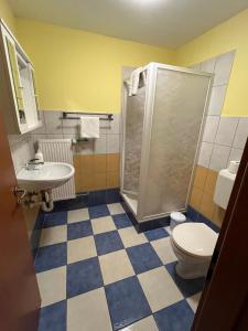 a bathroom with a shower and a toilet and a sink at Erdei Vendégház in Bögöt +43 photos
