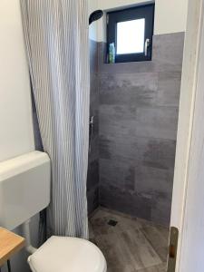 a bathroom with a shower curtain and a toilet at Tiny retreat in Miercurea-Ciuc