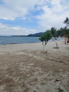 Táj Show holiday homes közelében