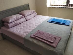 uma cama com duas almofadas em cima em Апартаменты рядом с морем em Sukhumi